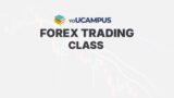 Forex trading Cohort 8