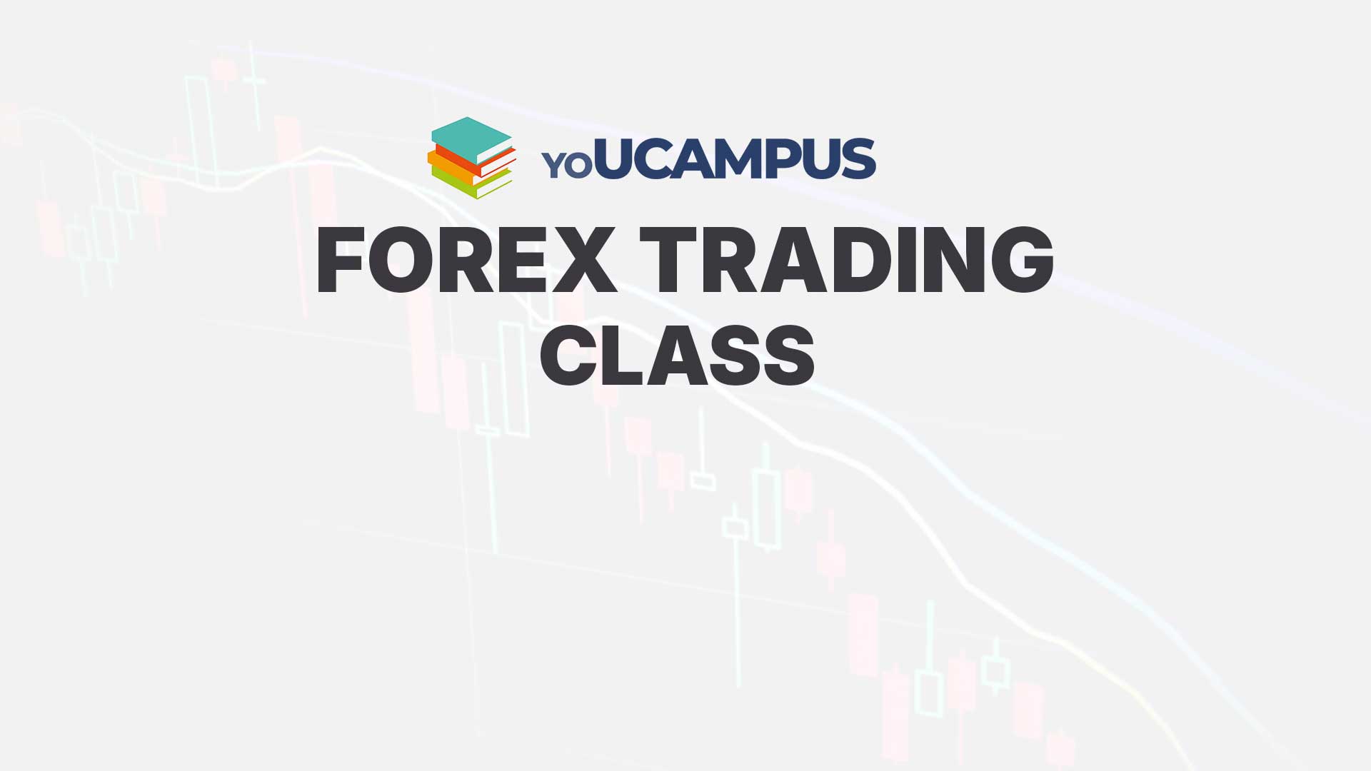 Forex trading Cohort 8