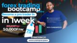 Forex trading Bootcamp (On-Demand)| 1week
